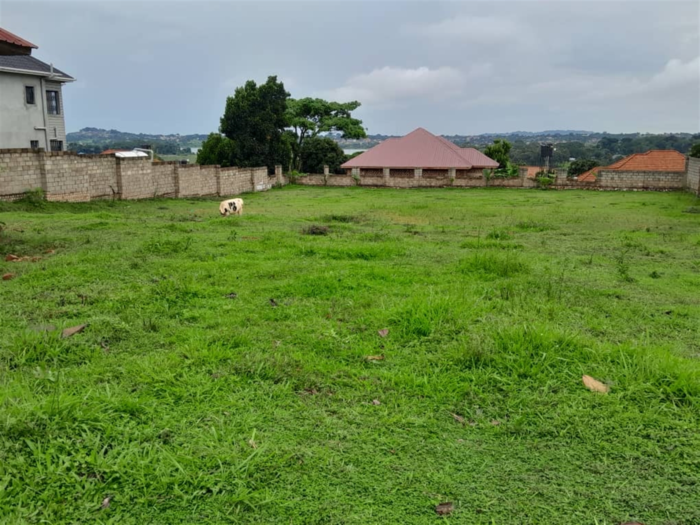 Residential Land for sale in Garuga Wakiso