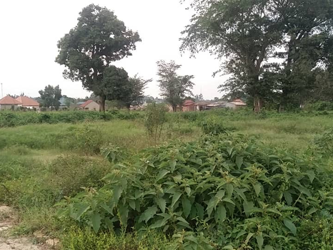 Commercial Land for sale in Katikamu Luweero