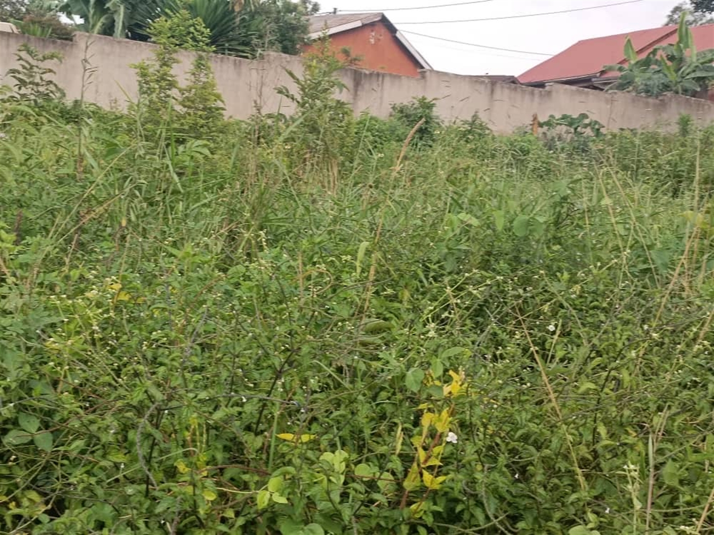 Residential Land for sale in Kanyanya Kampala