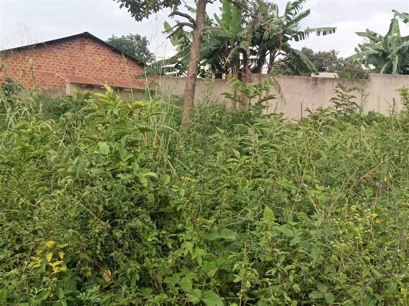 Residential Land for sale in Kanyanya Kampala