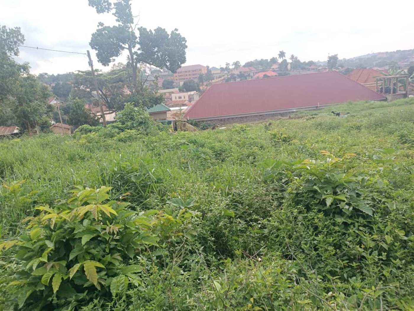 Residential Land for sale in Kanyanya Kampala