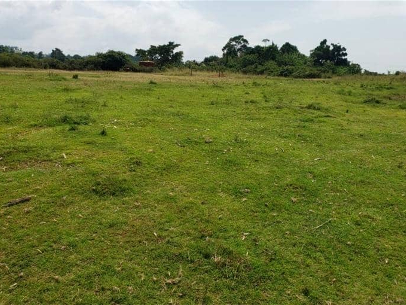 Agricultural Land for sale in Bukuya Kasanda