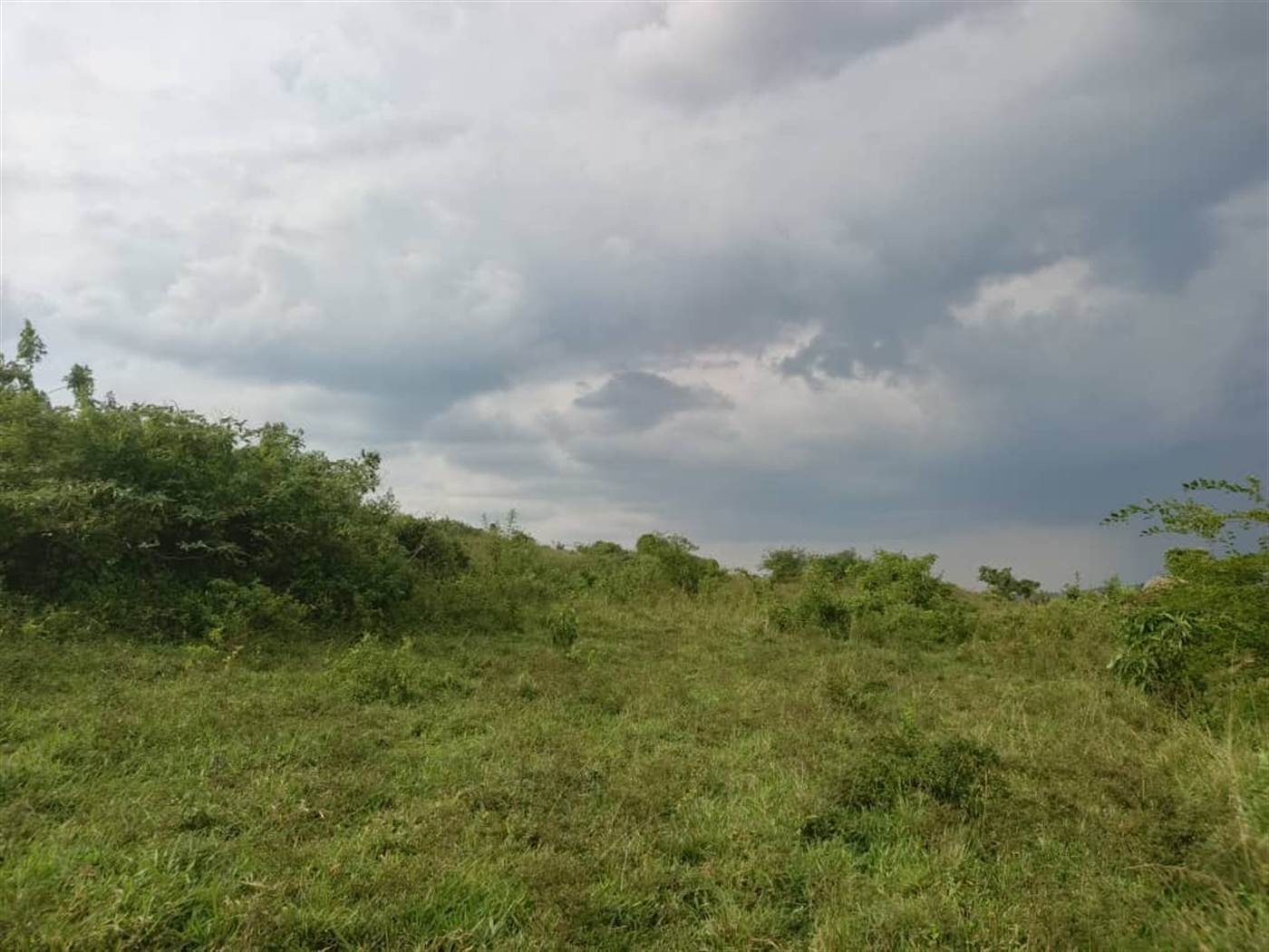 Agricultural Land for sale in Jjeza Mpigi