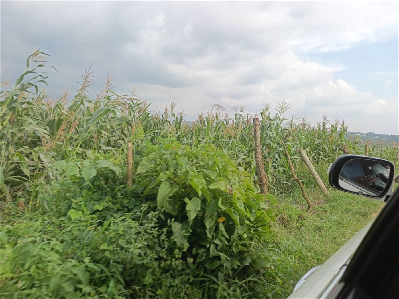 Agricultural Land for sale in Jjeza Mpigi