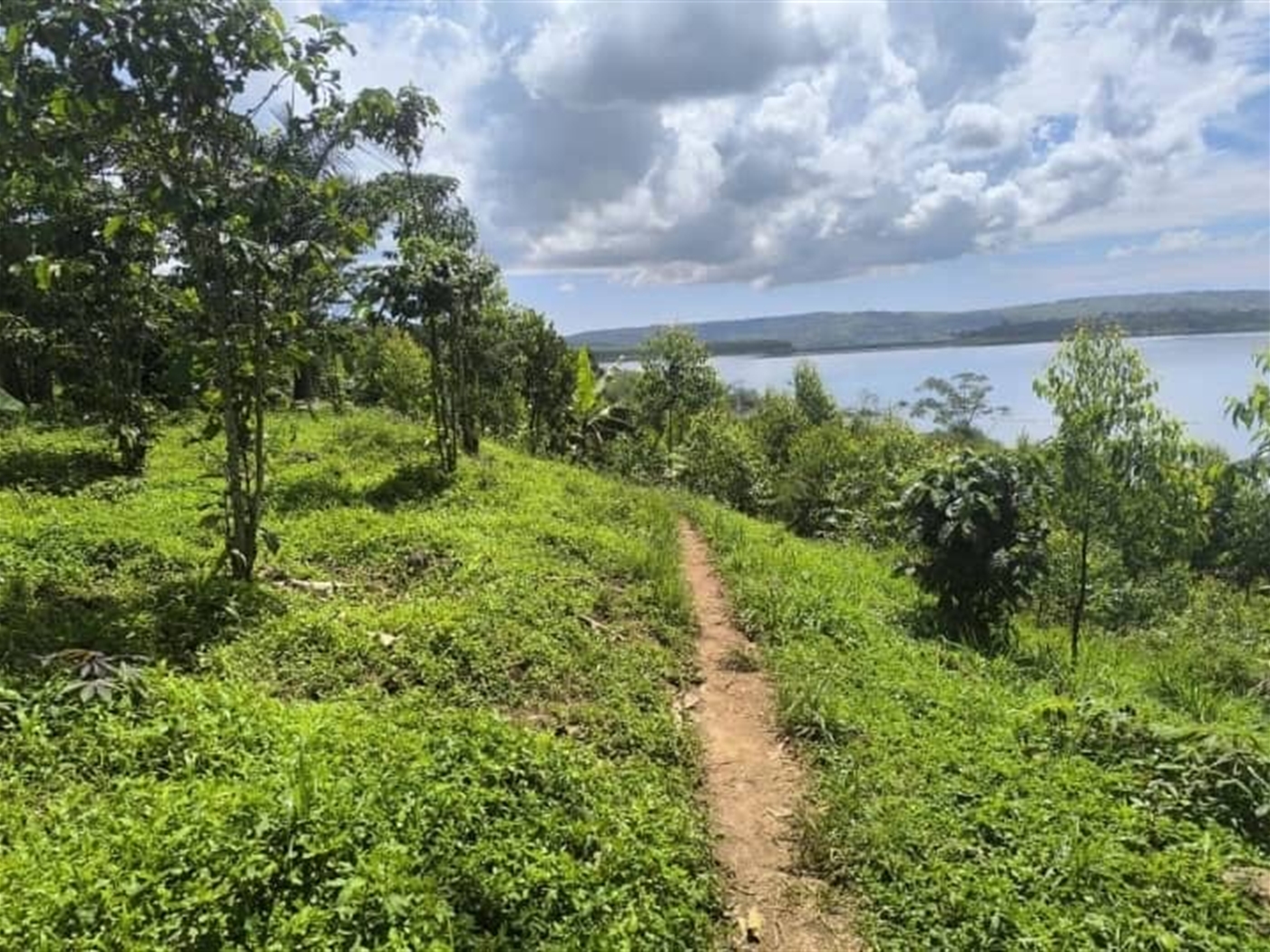 Agricultural Land for sale in Kisoga Mukono