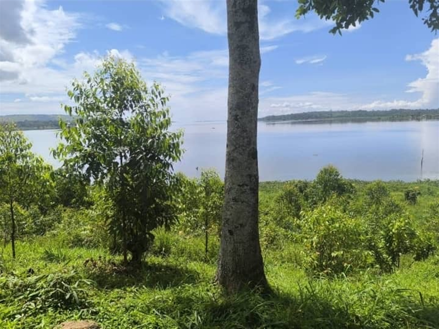 Agricultural Land for sale in Kisoga Mukono