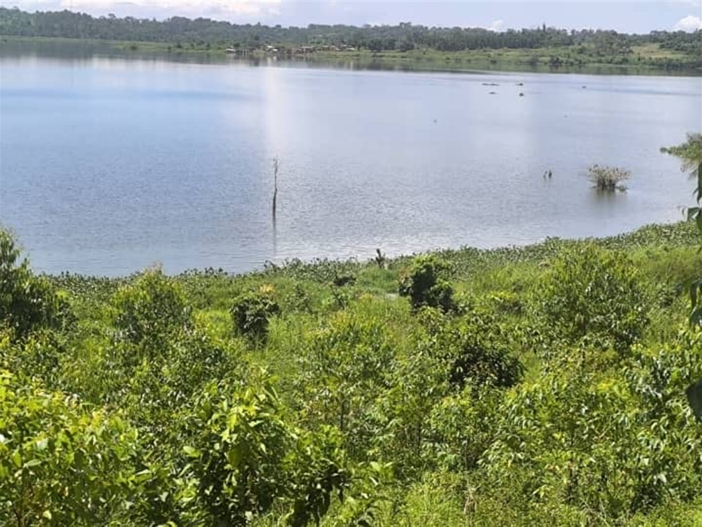 Agricultural Land for sale in Kisoga Mukono