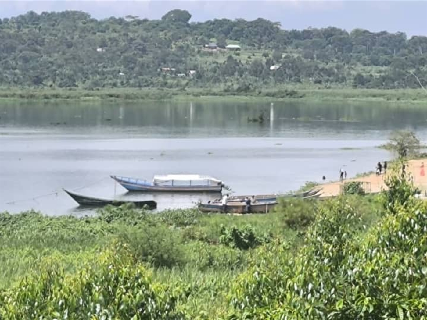 Agricultural Land for sale in Kisoga Mukono