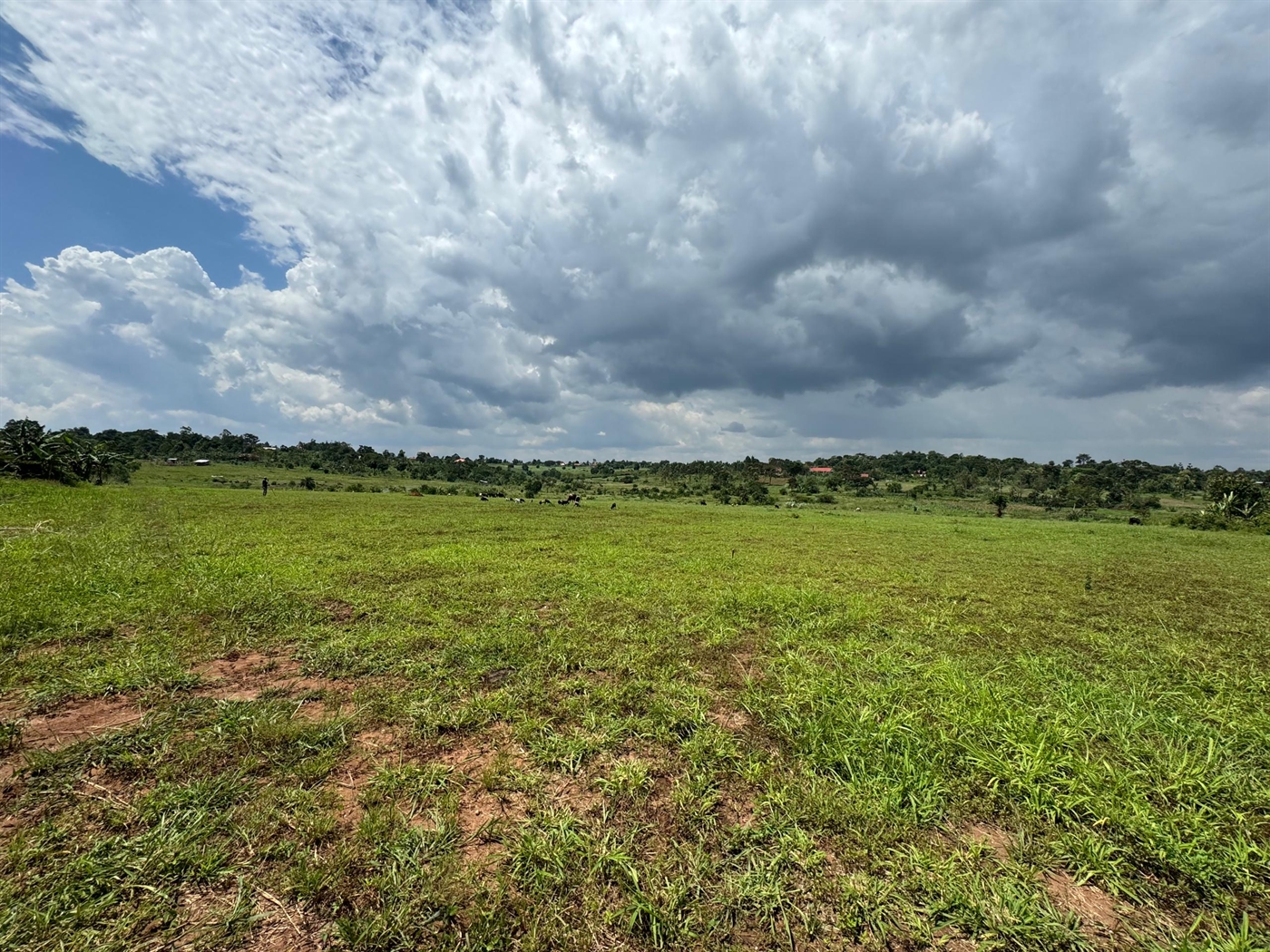 Residential Land for sale in Gayaza Wakiso