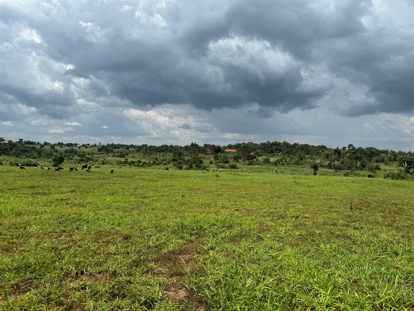 Residential Land for sale in Gayaza Wakiso