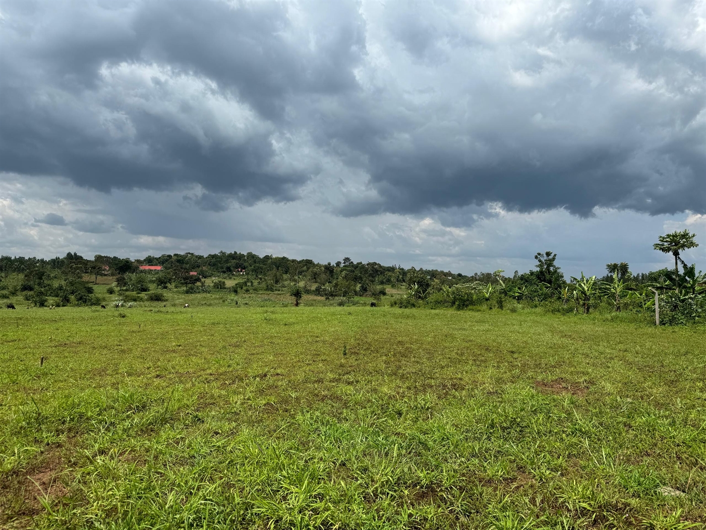 Residential Land for sale in Gayaza Wakiso