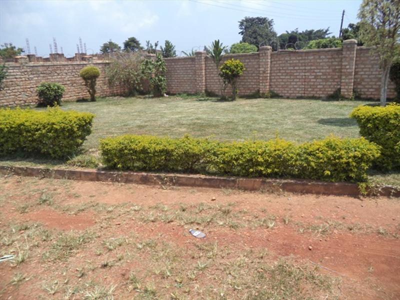 Bungalow for rent in Nkumba Wakiso