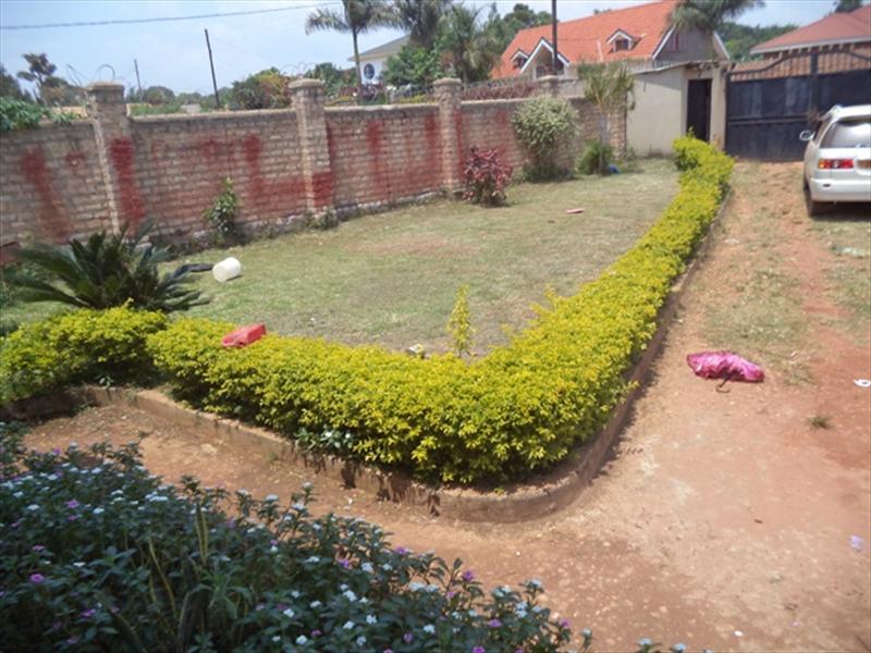 Bungalow for rent in Nkumba Wakiso