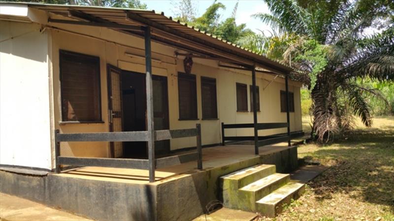 Bungalow for rent in Entebbe Wakiso