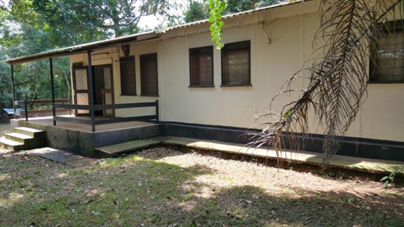 Bungalow for rent in Entebbe Wakiso