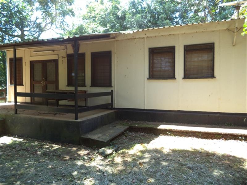 Bungalow for rent in Entebbe Wakiso