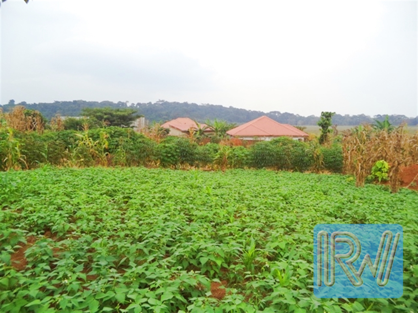 Residential Land for sale in Garuga Wakiso