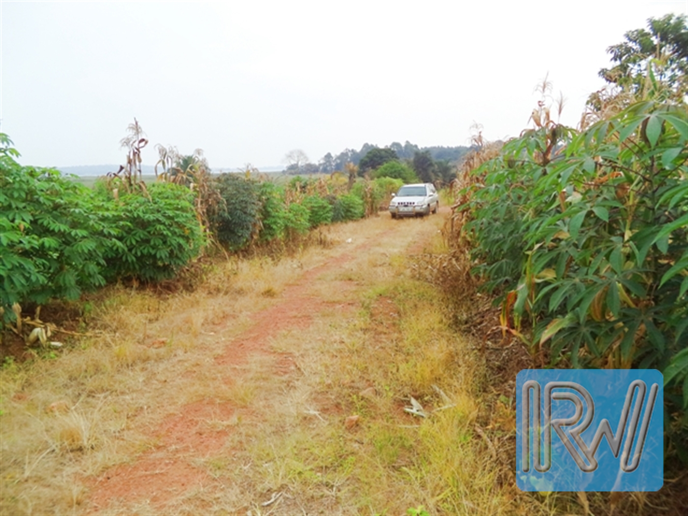 Residential Land for sale in Garuga Wakiso