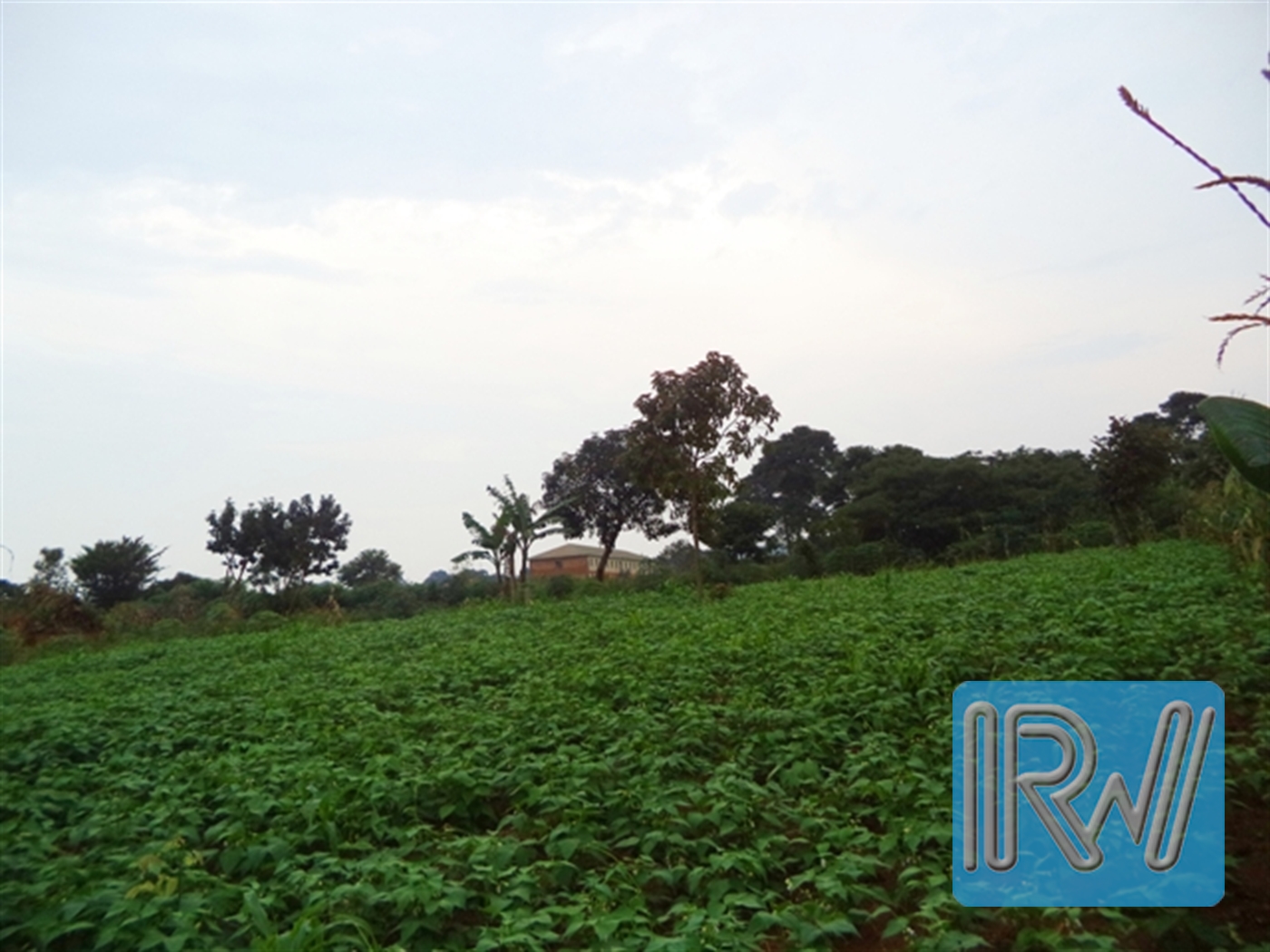 Residential Land for sale in Garuga Wakiso