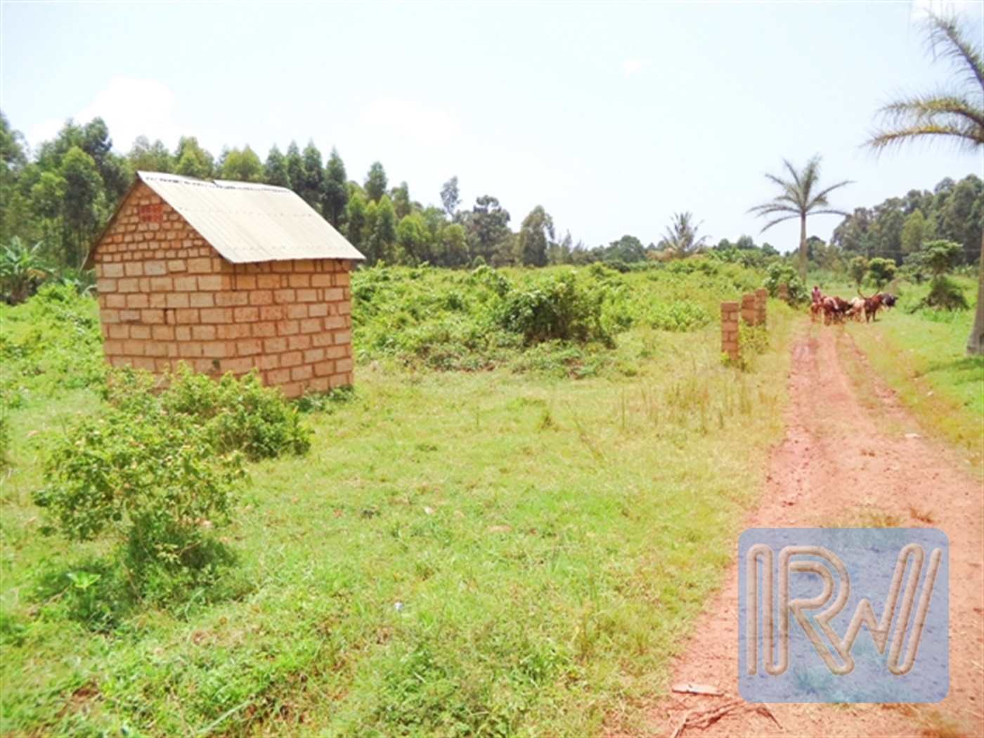 Residential Land for sale in Lutembe Wakiso