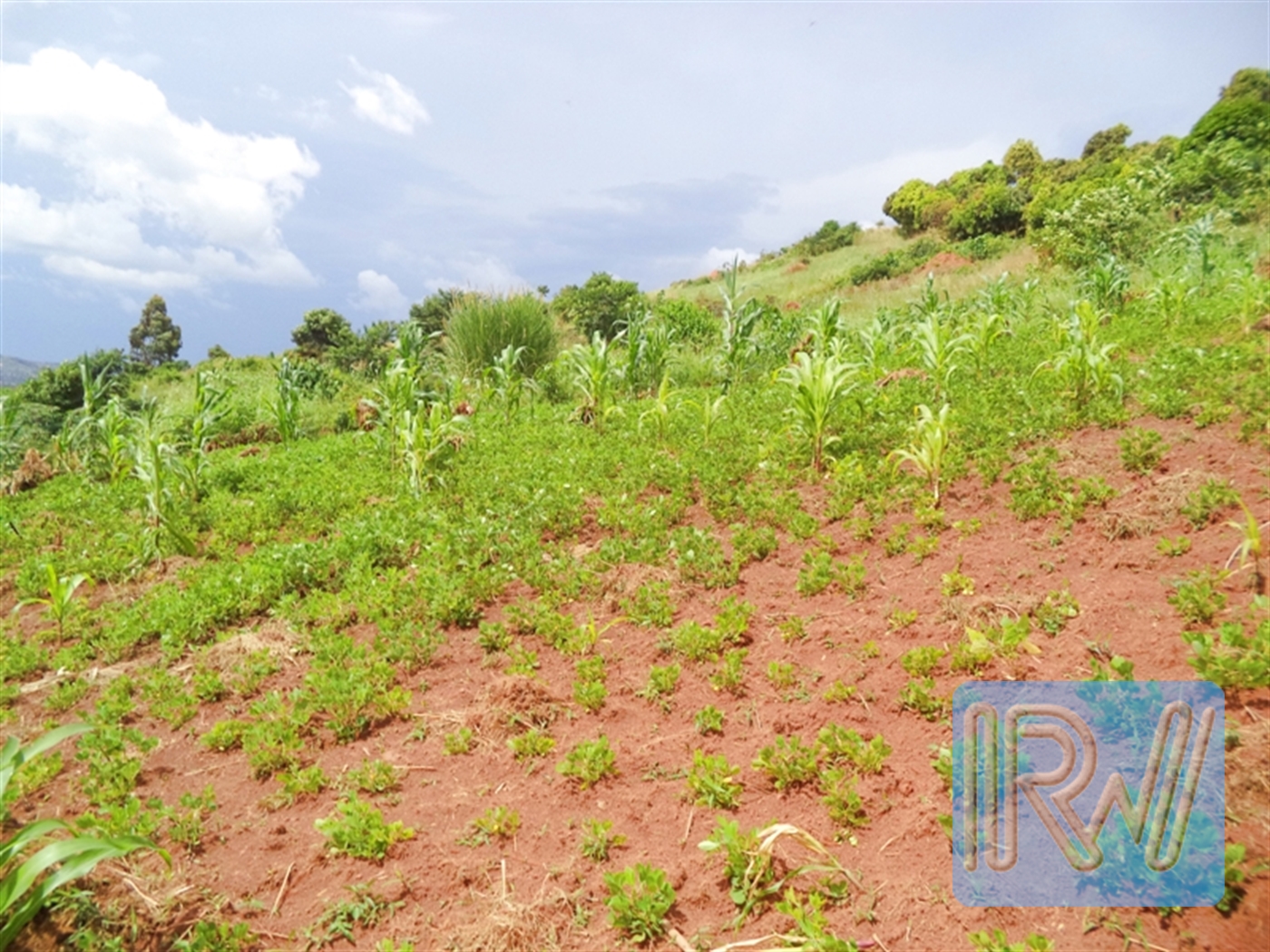 Residential Land for sale in Kawuku Wakiso