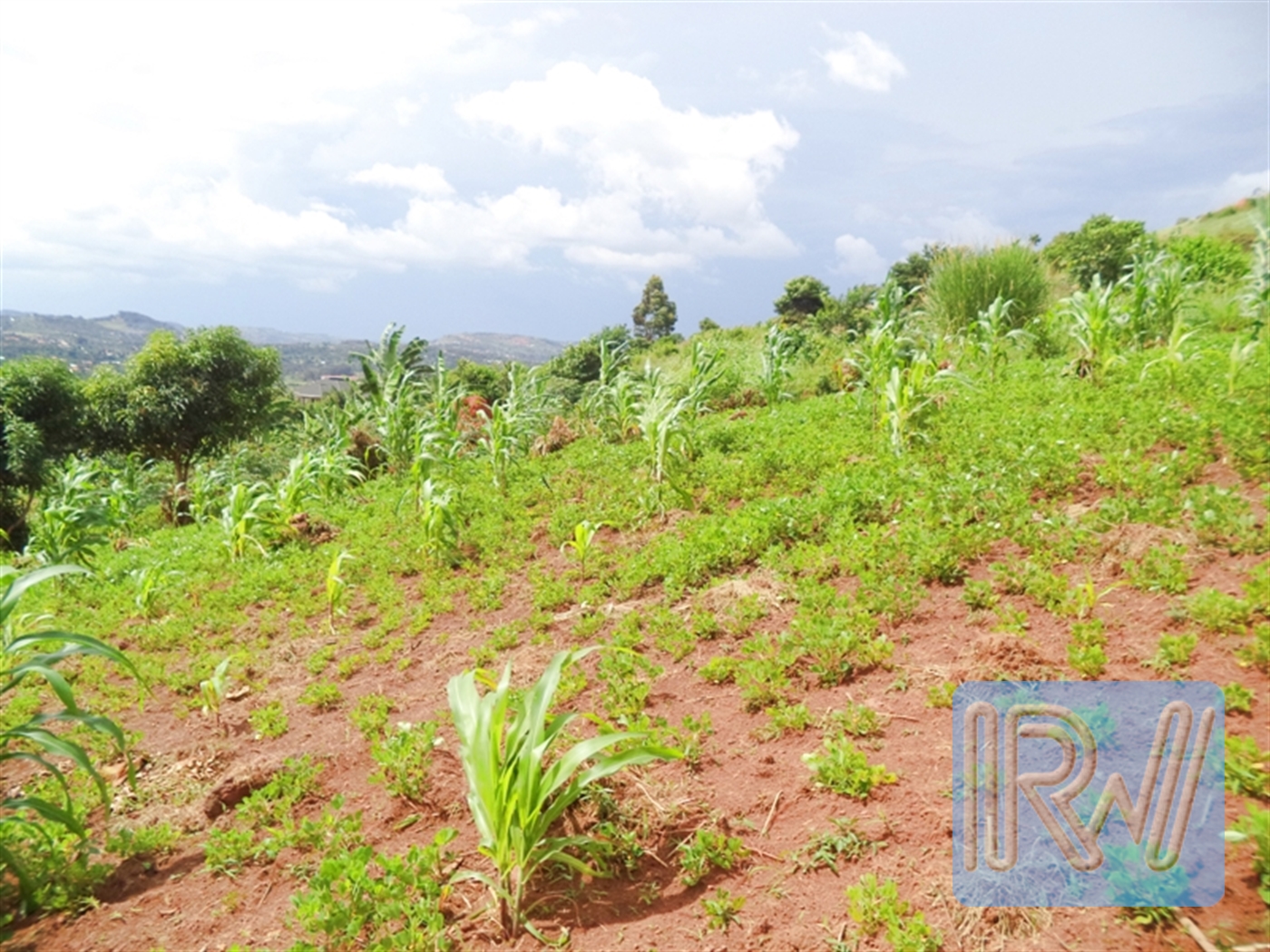 Residential Land for sale in Kawuku Wakiso