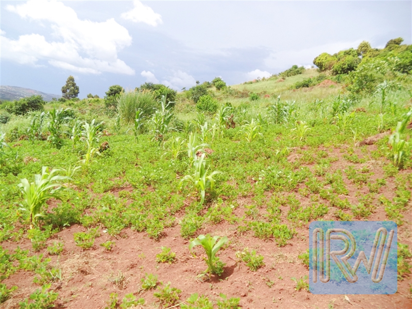 Residential Land for sale in Kawuku Wakiso