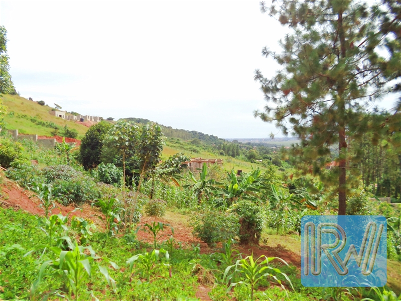 Residential Land for sale in Kawuku Wakiso