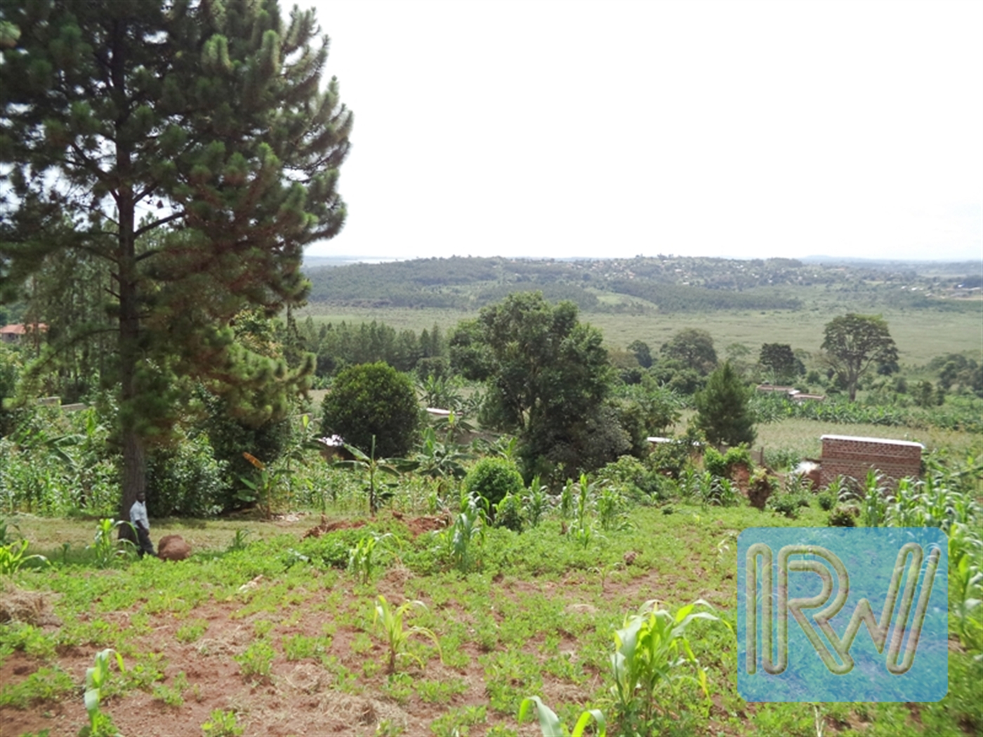 Residential Land for sale in Kawuku Wakiso