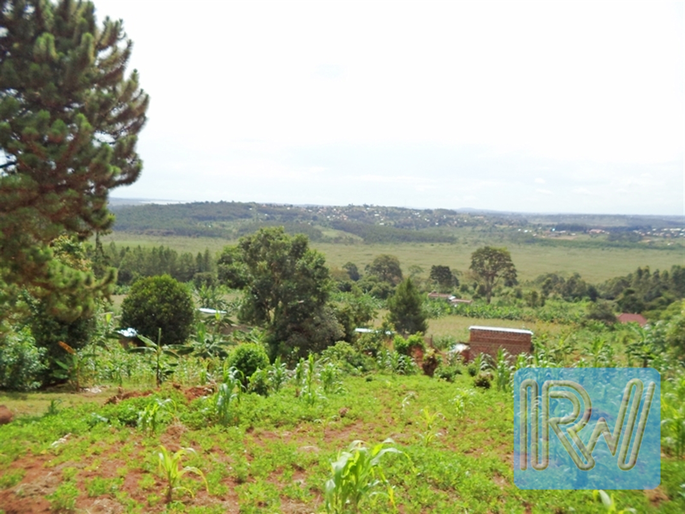 Residential Land for sale in Kawuku Wakiso