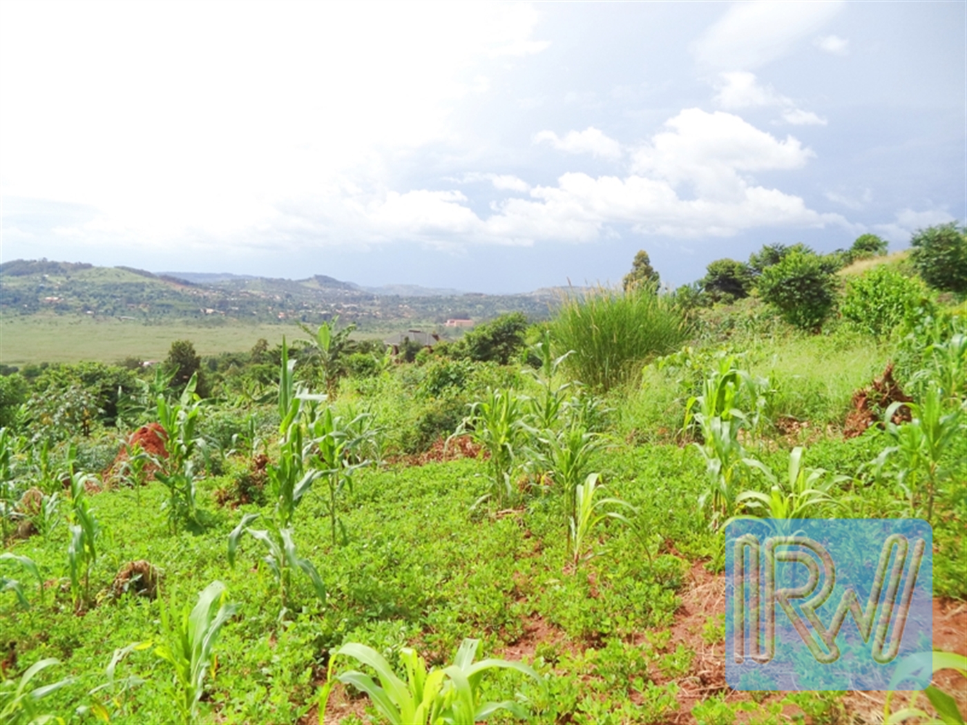 Residential Land for sale in Kawuku Wakiso