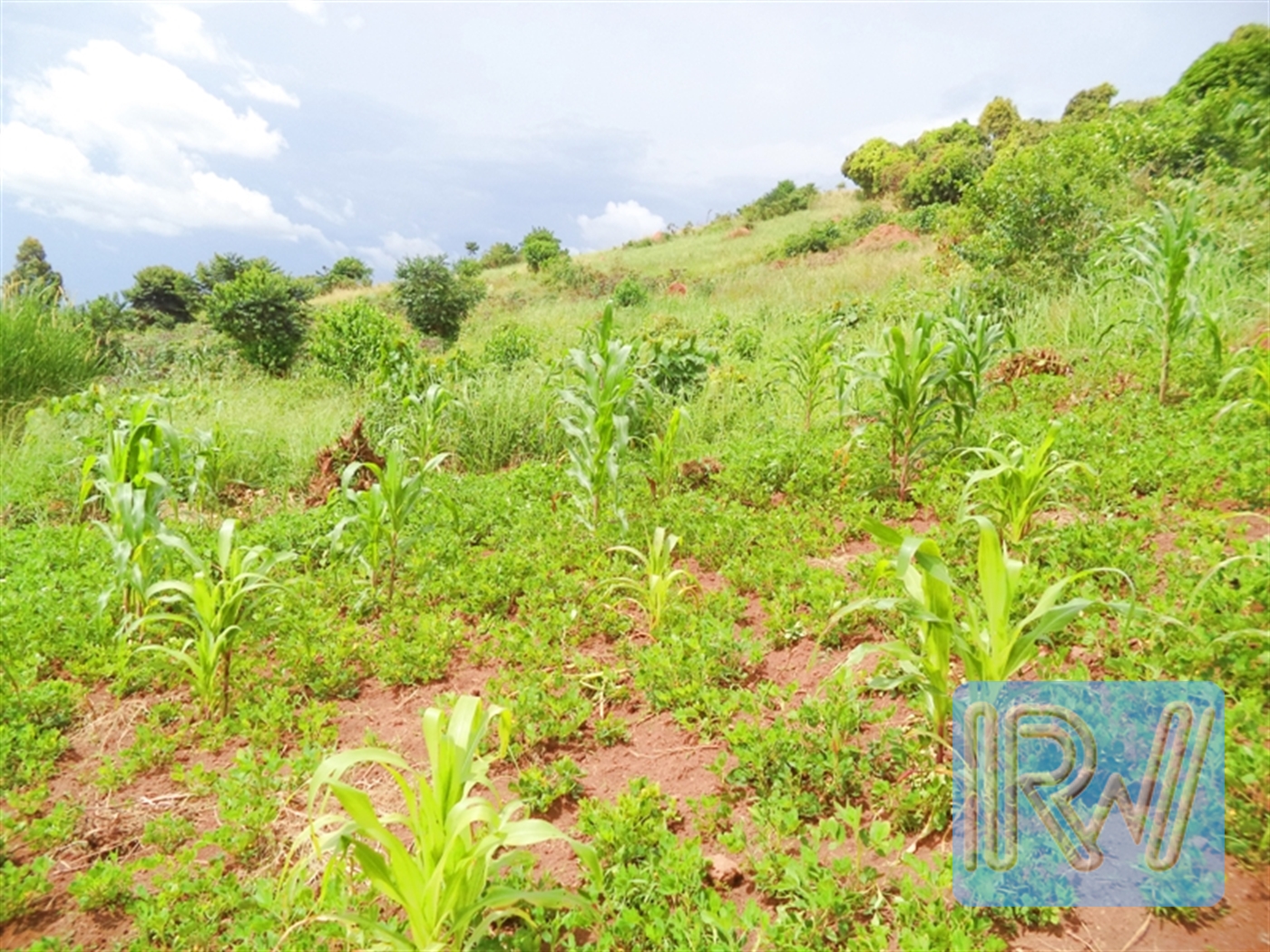 Residential Land for sale in Kawuku Wakiso