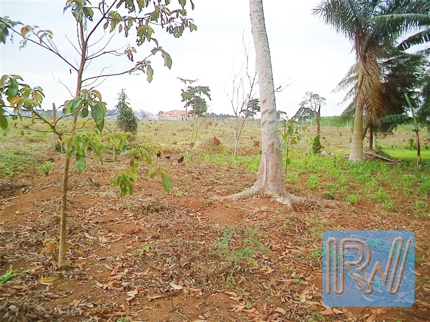 Residential Land for sale in Buwaya Wakiso