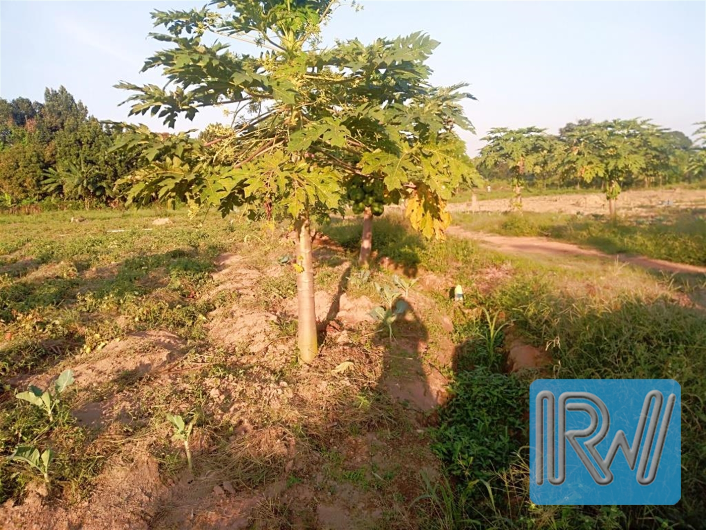 Residential Land for sale in Garuga Wakiso