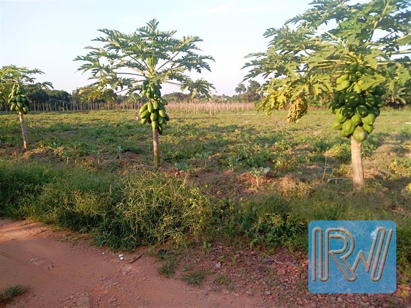 Residential Land for sale in Garuga Wakiso