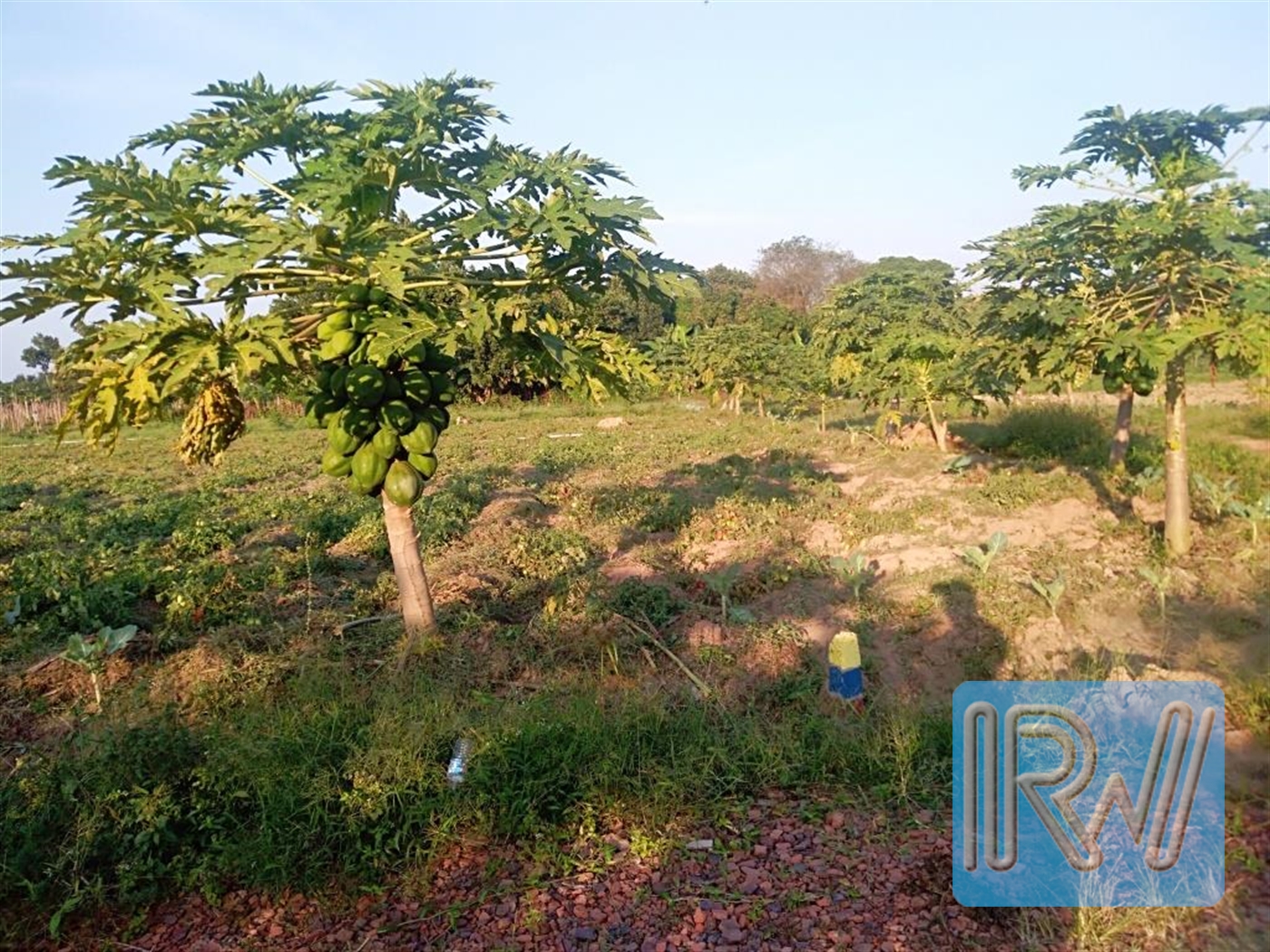 Residential Land for sale in Garuga Wakiso