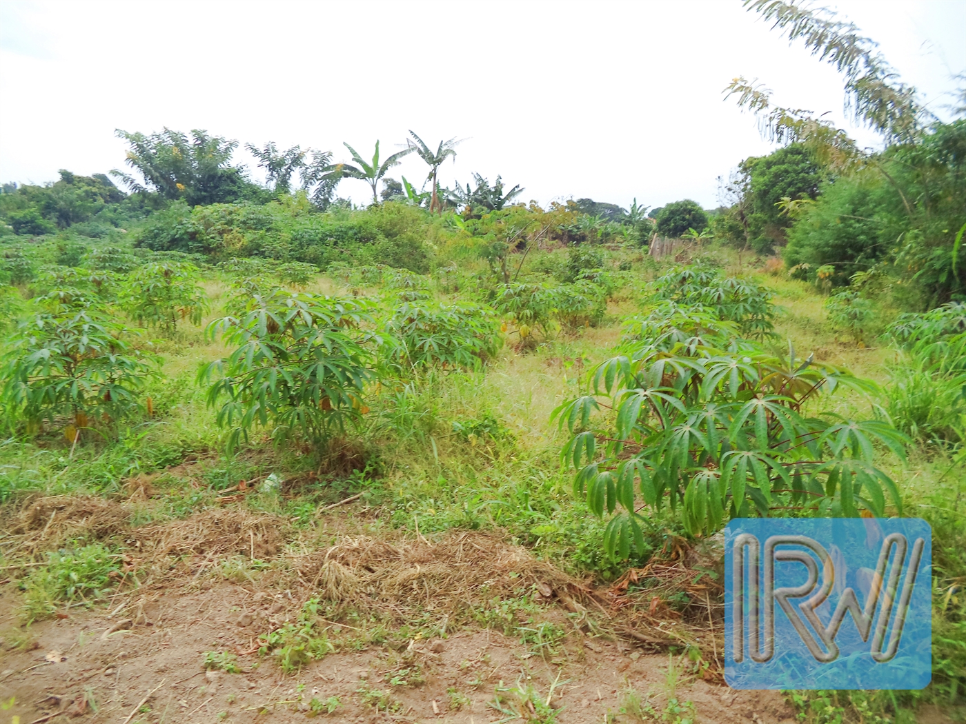 Residential Land for sale in Garuga Wakiso