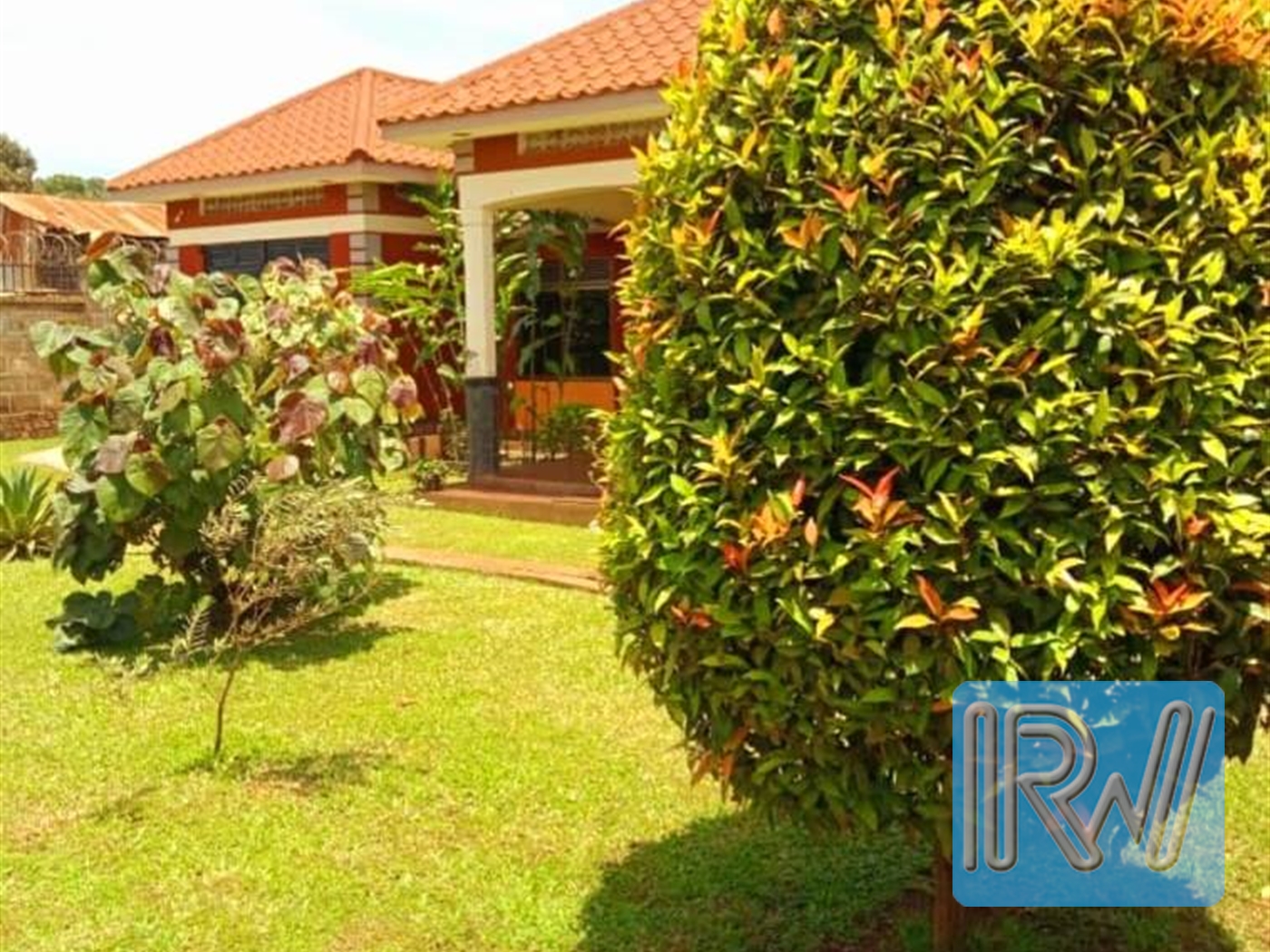 Bungalow for rent in Nkumba Wakiso