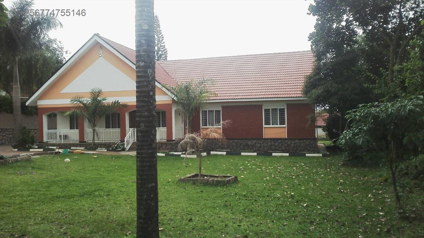 Bungalow for rent in Kitintale Kampala