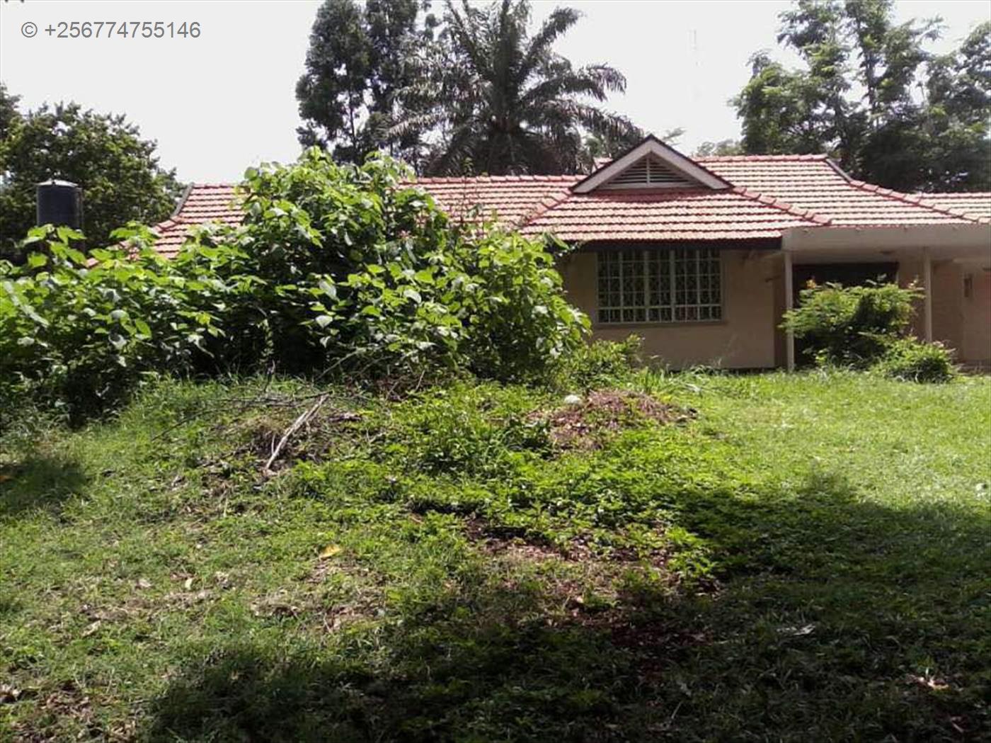 Bungalow for rent in Kololo Kampala