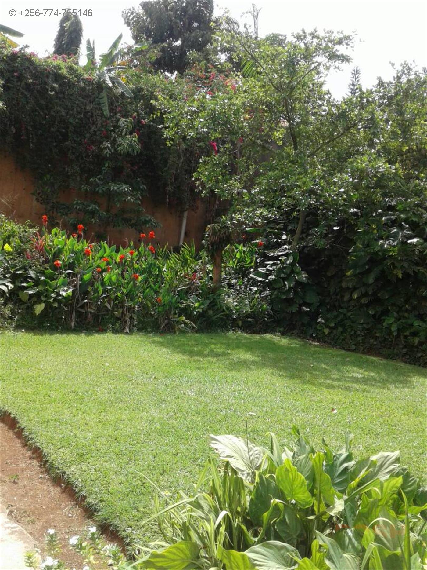 Town House for rent in Kololo Kampala