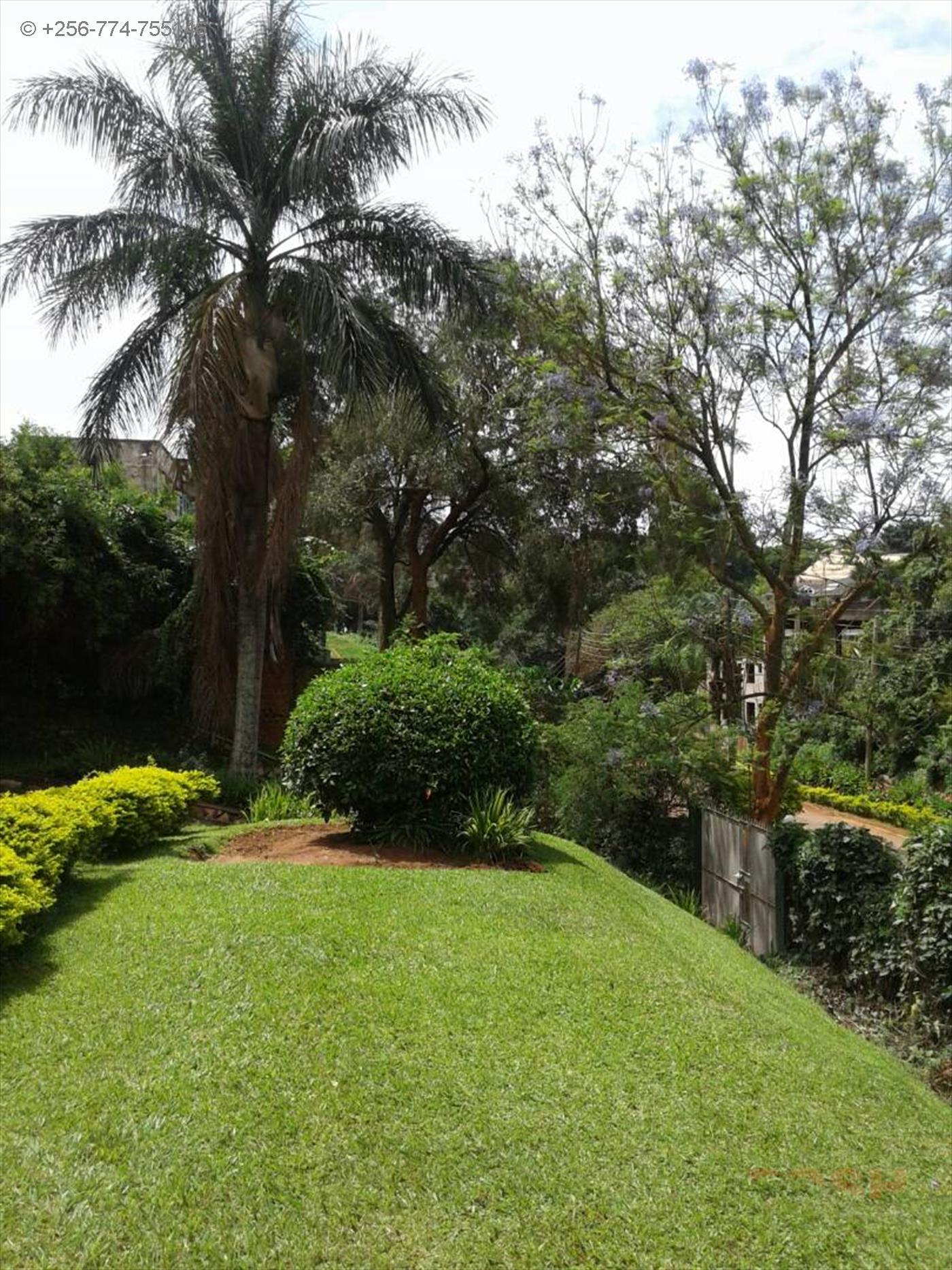 Town House for rent in Kololo Kampala