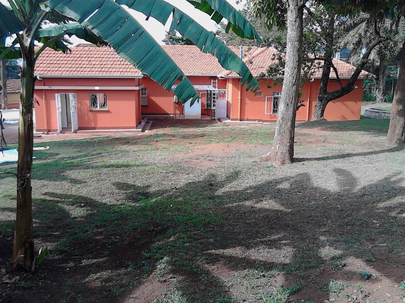 Bungalow for rent in Nakasero Kampala