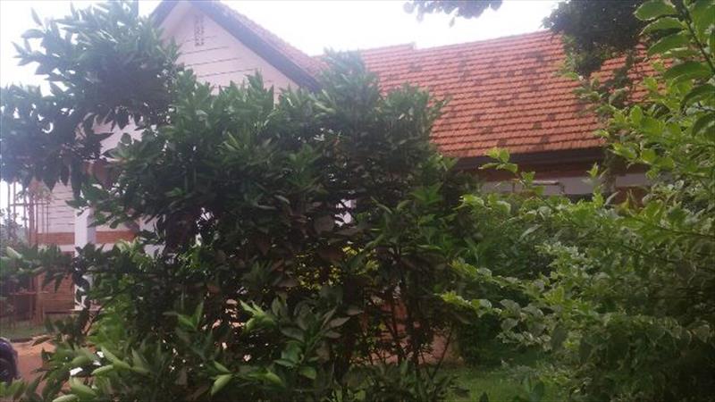 Bungalow for rent in Ntinda Kampala