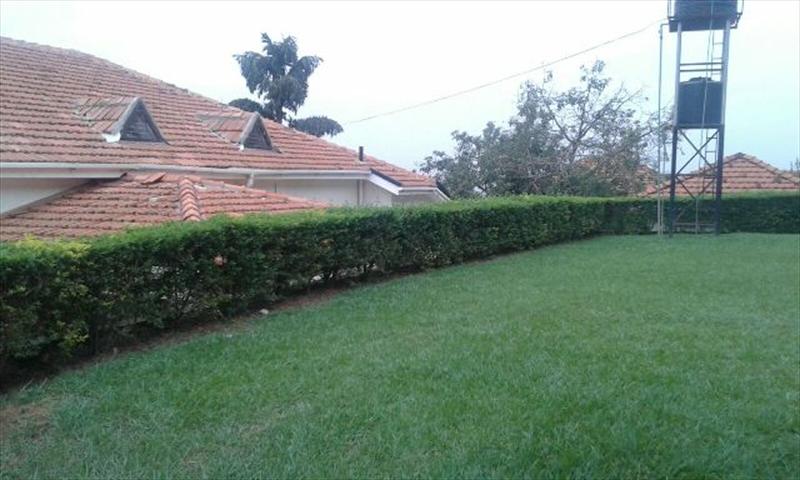 Mansion for rent in Naguru Kampala