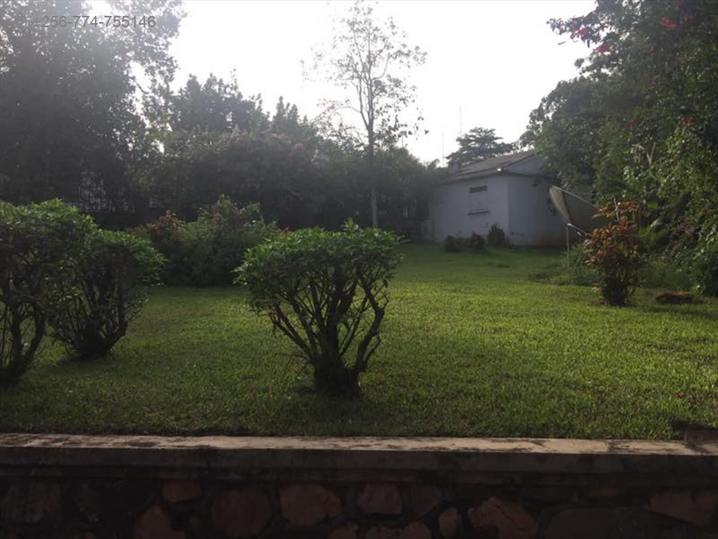 Semi Detached for rent in Kololo Kampala