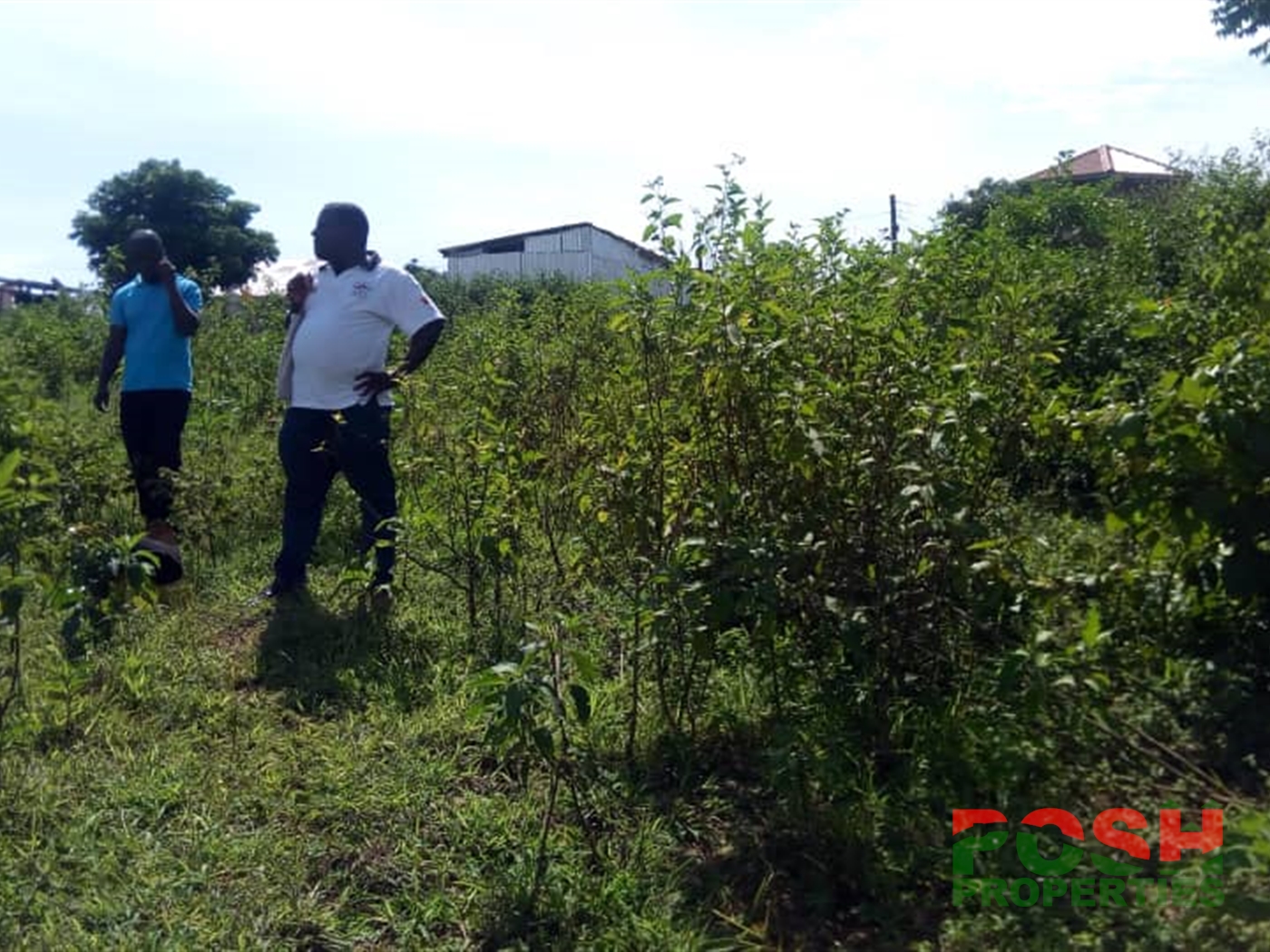 Residential Land for sale in Kasenyi Wakiso