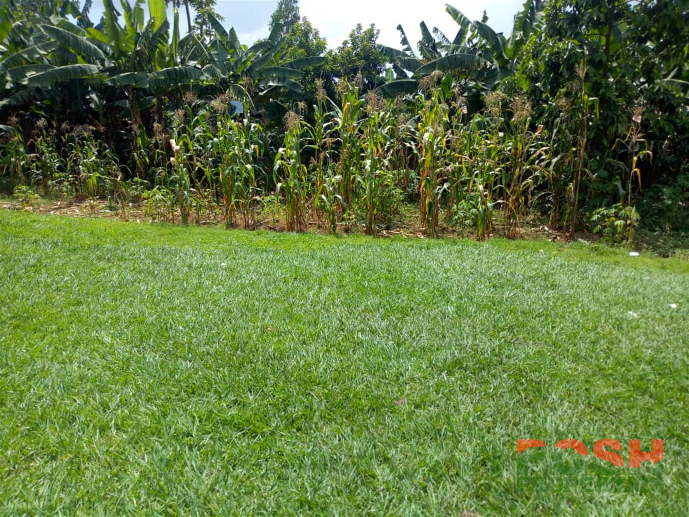 Residential Land for sale in Bugoloobi Kampala