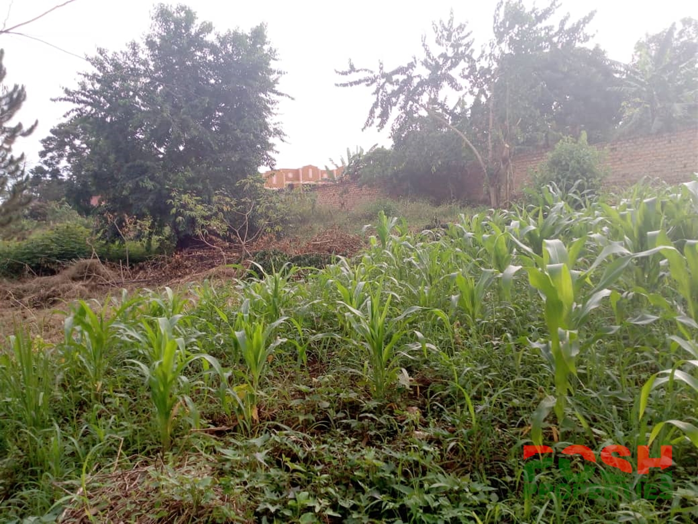 Residential Land for sale in Buwaate Wakiso