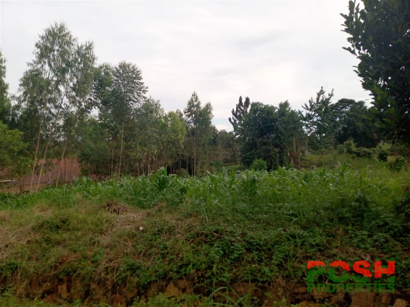 Residential Land for sale in Buwaate Wakiso